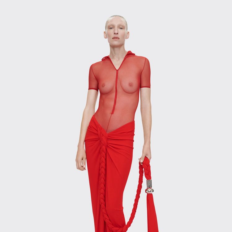 MESH BODY